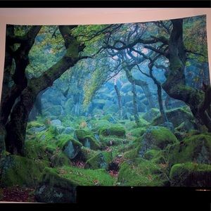 Forest scene tapestry